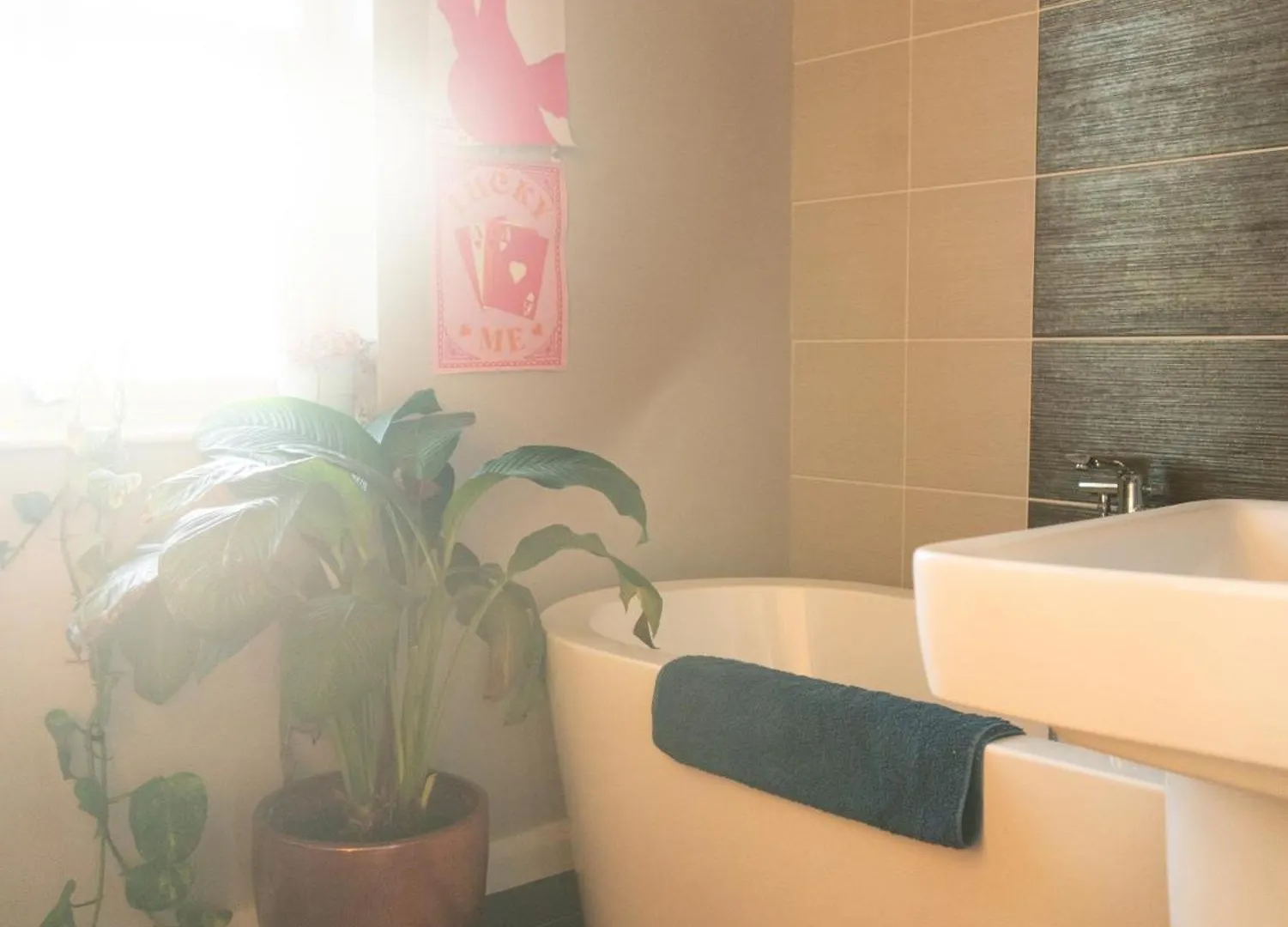 Luxury Studio Apartment - Belfast - Dundonald